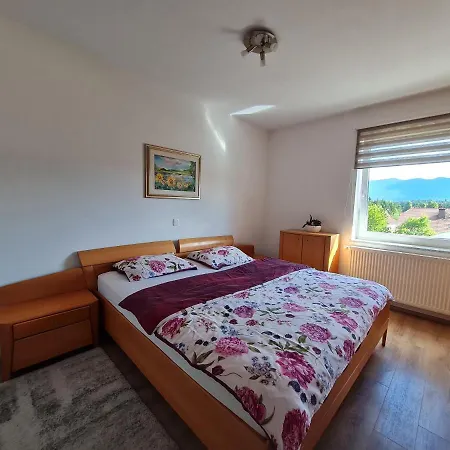 ゲストハウス Gostilna S Prenocisci Pav