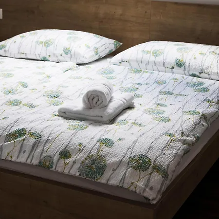 Gostilna S Prenocisci Pav Guest house