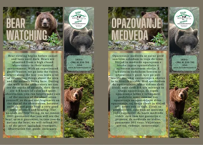 Gostilna S Prenocisci Pav Rakek